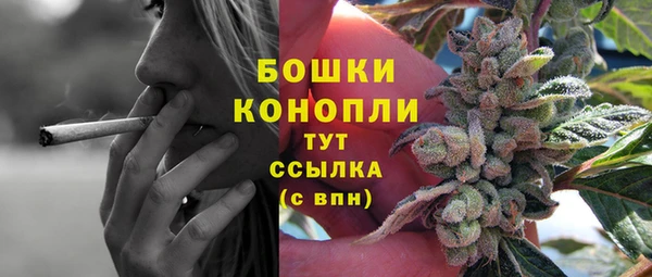 дживик Елабуга
