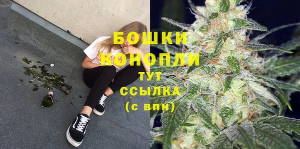 дживик Елабуга