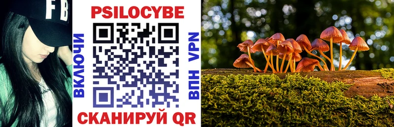 гидра маркетплейс  Зарайск  Галлюциногенные грибы GOLDEN TEACHER 